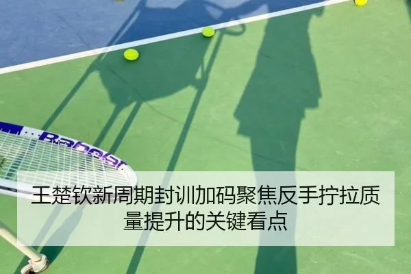 王楚钦新周期封训加码聚焦反手拧拉质量提升的关键看点